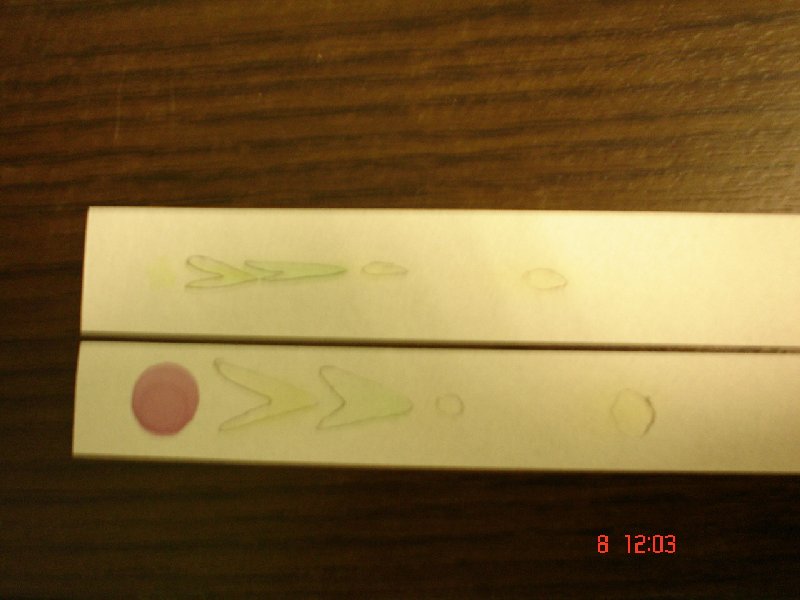 chromatographies